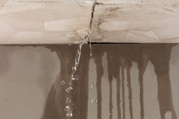 Professional Structural Drying technician working in Van Vleck, TX